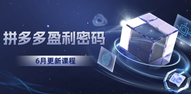 拼多多盈利密码：从烧钱推广到印钞模型，底层逻辑重构指南(6月更新-桂芽网创