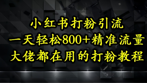 小红书打粉引流，一天轻松500+精准流量，大佬都在用的打粉教程-桂芽网创