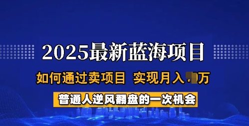 2025蓝海项目，普通人如何通过卖项目，实现月入过W，全过程【揭秘】-桂芽网创