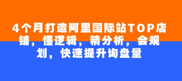 4个月打造阿里国际站TOP店铺，懂逻辑，精分析，会规划，快速提升询盘量-桂芽网创