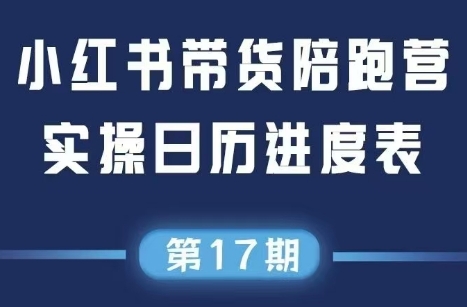 盗坤·抖音小红书视频号短视频带货与直播变现(11-17期)-桂芽网创