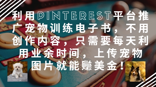 利用Pinterest平台推广宠物训练电子书，不用创作内容，只需要每天利用业余时间，上传宠物图片就能挣美金!-桂芽网创