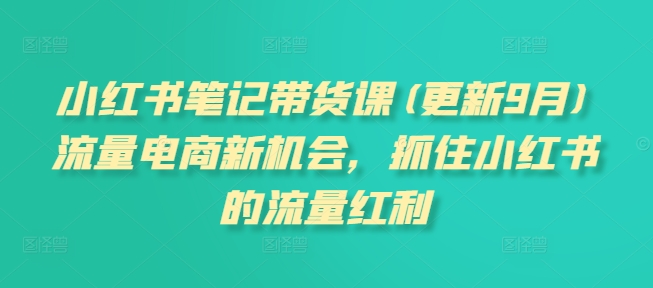 小红书笔记带货课(更新25年6月)流量电商新机会，抓住小红书的流量红利-桂芽网创