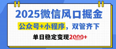 2025微信风口掘金，公众号+小程序双管齐下，单日稳定变现1k+【揭秘】-桂芽网创