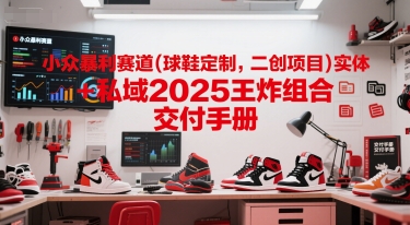 小众暴利赛道(球鞋定制，二创项目)实体+私域2025王炸组合  交付手册-桂芽网创