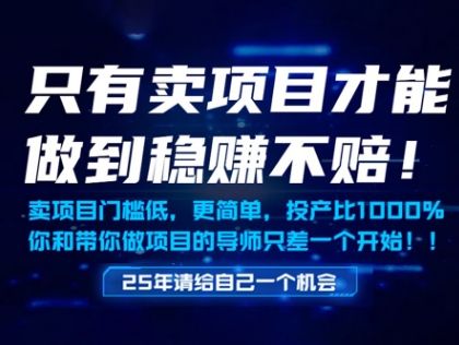只有卖项目才能做到稳挣不赔，门槛低，更简单，你也可以年入百个W【揭秘】-桂芽网创