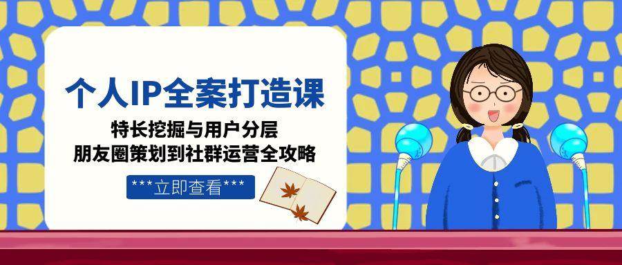 个人IP全案打造课，特长挖掘与用户分层，朋友圈策划到社群运营全攻略-桂芽网创