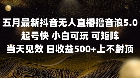 2025五月最新无人直播撸音浪单日产出5张+实操教程【揭秘】-桂芽网创