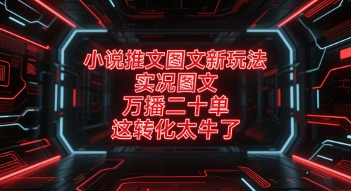 小说推文图文新玩法，实况图文，万播二十单，这转化太牛了！-桂芽网创