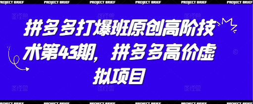 拼多多打爆班原创高阶技术第43期，拼多多高价虚拟项目-桂芽网创