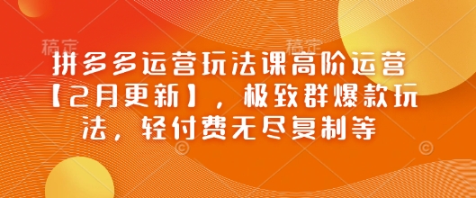 拼多多运营玩法课高阶运营【2月更新】，极致群爆款玩法，轻付费无尽复制等-桂芽网创