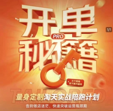 淘宝开单秘籍PRO，量身定制淘天实战陪跑计划，告别做店迷茫、快速突破运营瓶颈期(更新)-桂芽网创