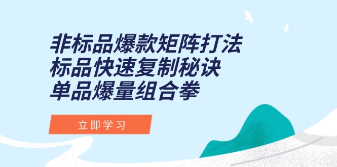 非标品爆款矩阵打法，标品快速复制秘诀，单品爆量组合拳-桂芽网创