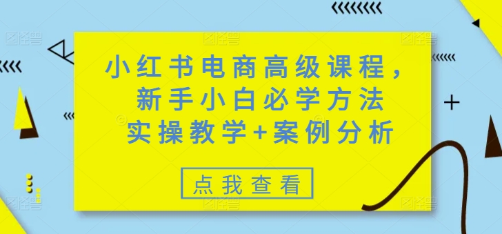 小红书电商高级课程，新手小白必学方法，实操教学+案例分析-桂芽网创