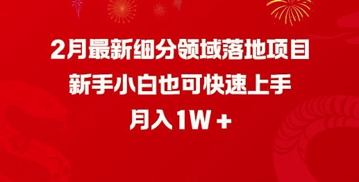 2月最新细分领域落地项目，新手小白也可快速上手，月入1W-桂芽网创