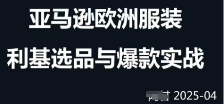 跨境电商选品案例24-25年，聚焦跨境电商选品策略与运营优化，助力卖家挖掘蓝海市场-桂芽网创