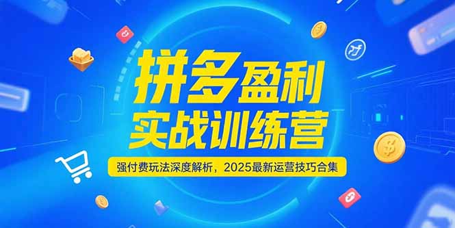 拼多多盈利实战训练营，强付费玩法深度解析，2025运营技巧合集-更新6月-桂芽网创