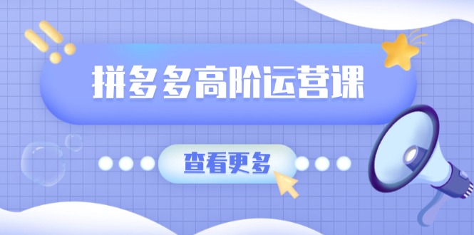 （14327期）拼多多高阶运营课：极致群爆款玩法，轻付费无尽复制，打造单品爆款之路-桂芽网创