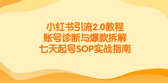 小红书引流2.0教程，账号诊断与爆款拆解，七天起号SOP实战指南-桂芽网创