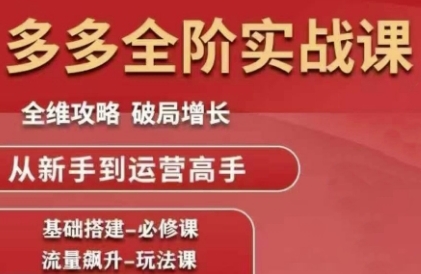拼多多全阶实战课程，全维攻略，破局增长，从新手到运营高手-桂芽网创