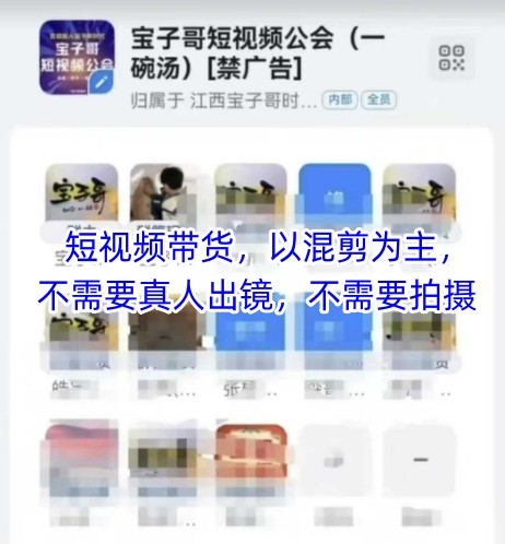 宝子哥头部团队短视频带货，以混剪为主，不需要真人出镜，不需要拍摄【更新】-桂芽网创