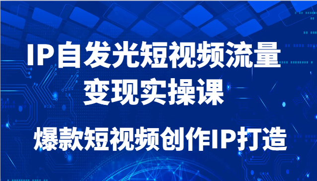IP自发光短视频流量变现实操课，爆款短视频创作IP打造-桂芽网创