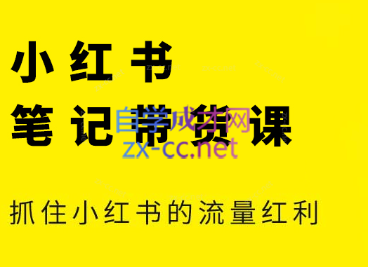 张宾·小红书笔记带货课(更新5月)-桂芽网创
