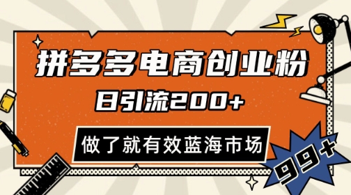 拼多多引流电商创业粉，日引200+，可矩阵放大，做了就有效【揭秘】-桂芽网创