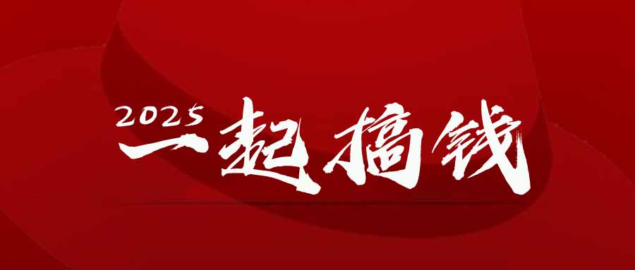 2025年，请“不择手段”去搞钱!-桂芽网创