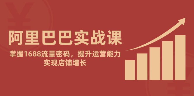 阿里巴巴实战课：掌握1688流量密码，提升运营能力，实现店铺增长-桂芽网创