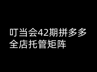 叮当会拼多多打爆班原创高阶技术第42期，拼多多全店托管矩阵-桂芽网创
