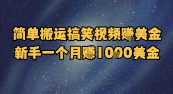 简单搬运搞笑视频挣美金，新手一个月入1k美金-桂芽网创